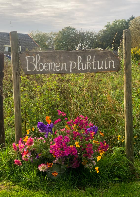 Bloemenpluktuin met een bos bloemen