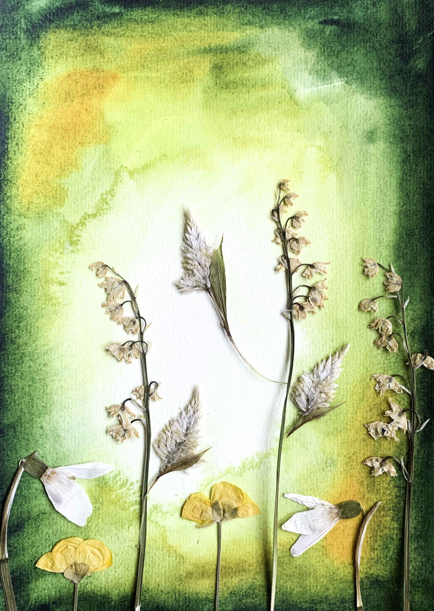 droogbloemen, collage, aquarel, atelier, marina elisa, handgemaakt