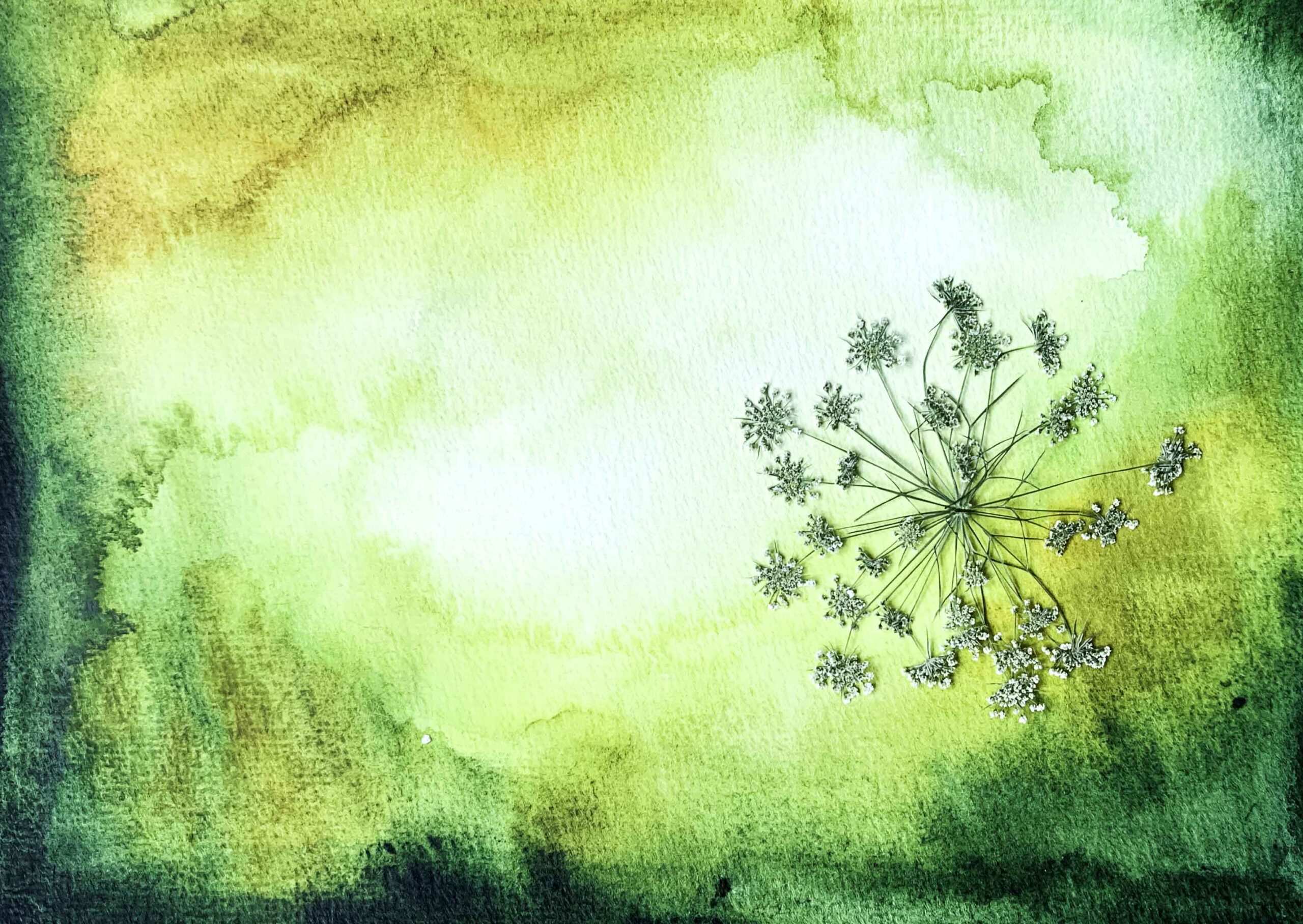 droogbloemen, marina elisa, handgemaakt, aquarel, atelier, wenskaart