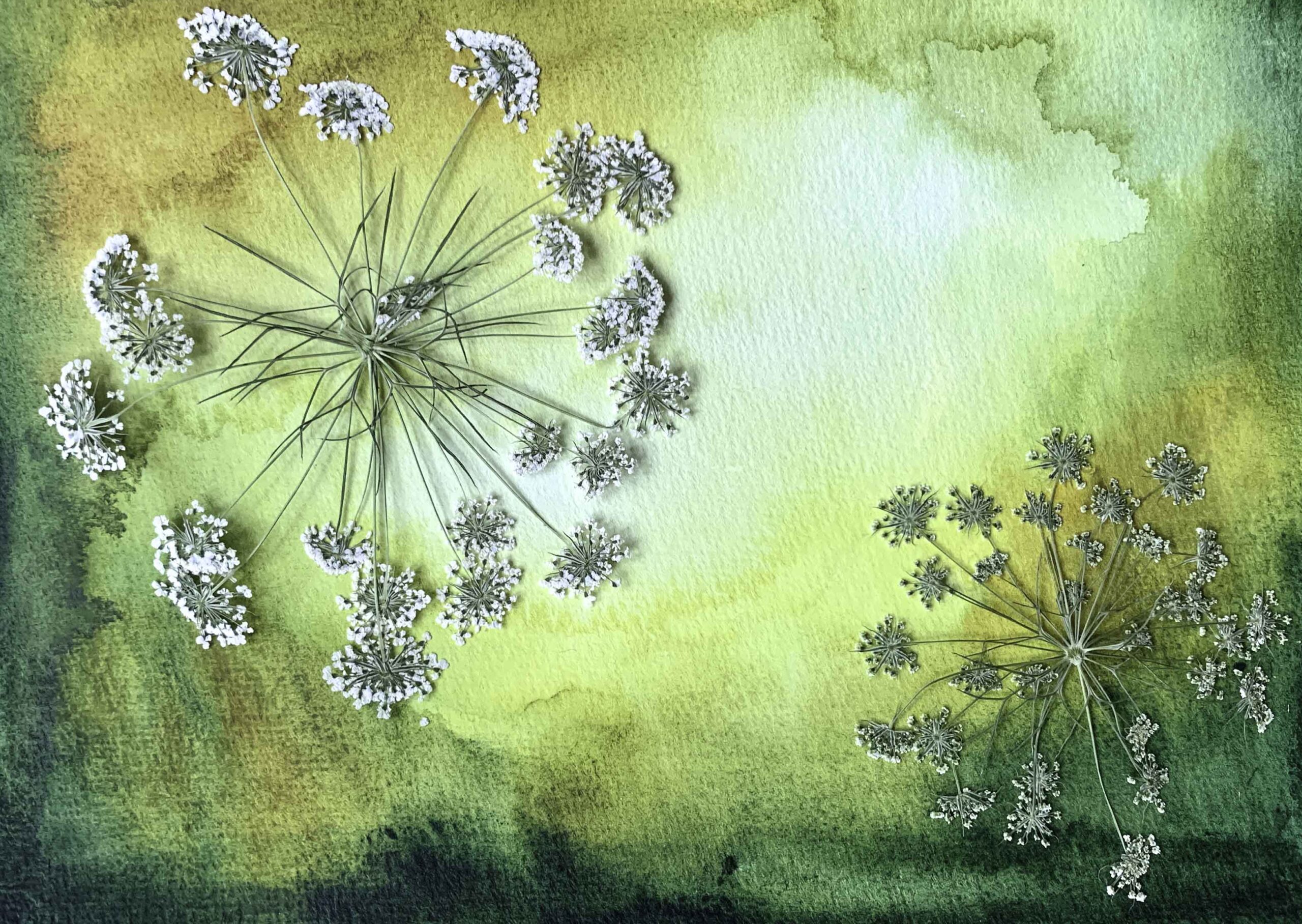 droogbloemen, aquarel, groen, marina elisa, handgemaakt