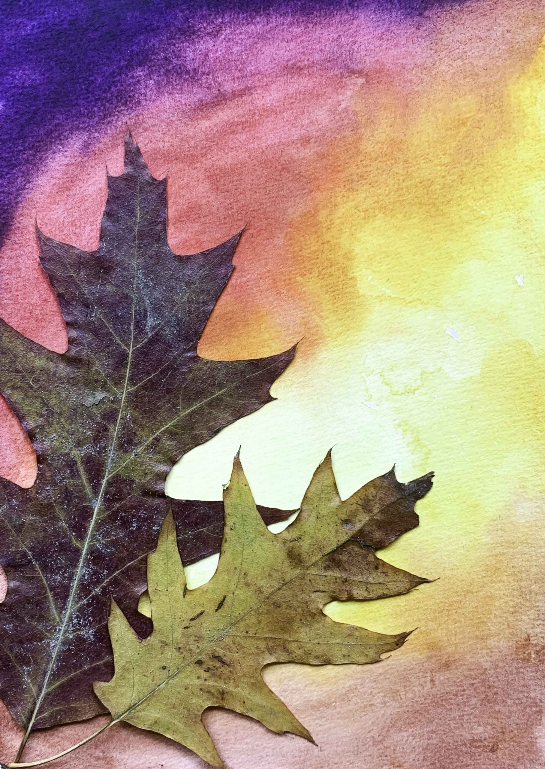 herfstblad, droogbloemen, handgemaakt, marina elisa, aquarel