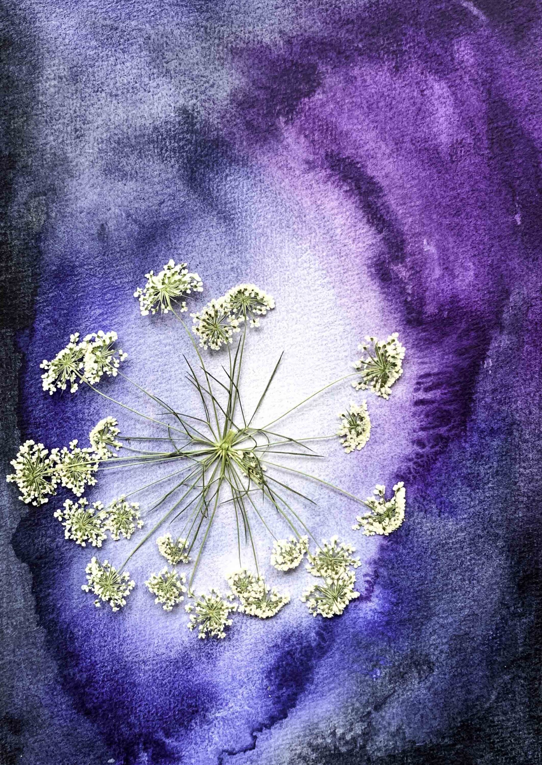 driedflowers, droogbloemen, aquarel, marina elisa