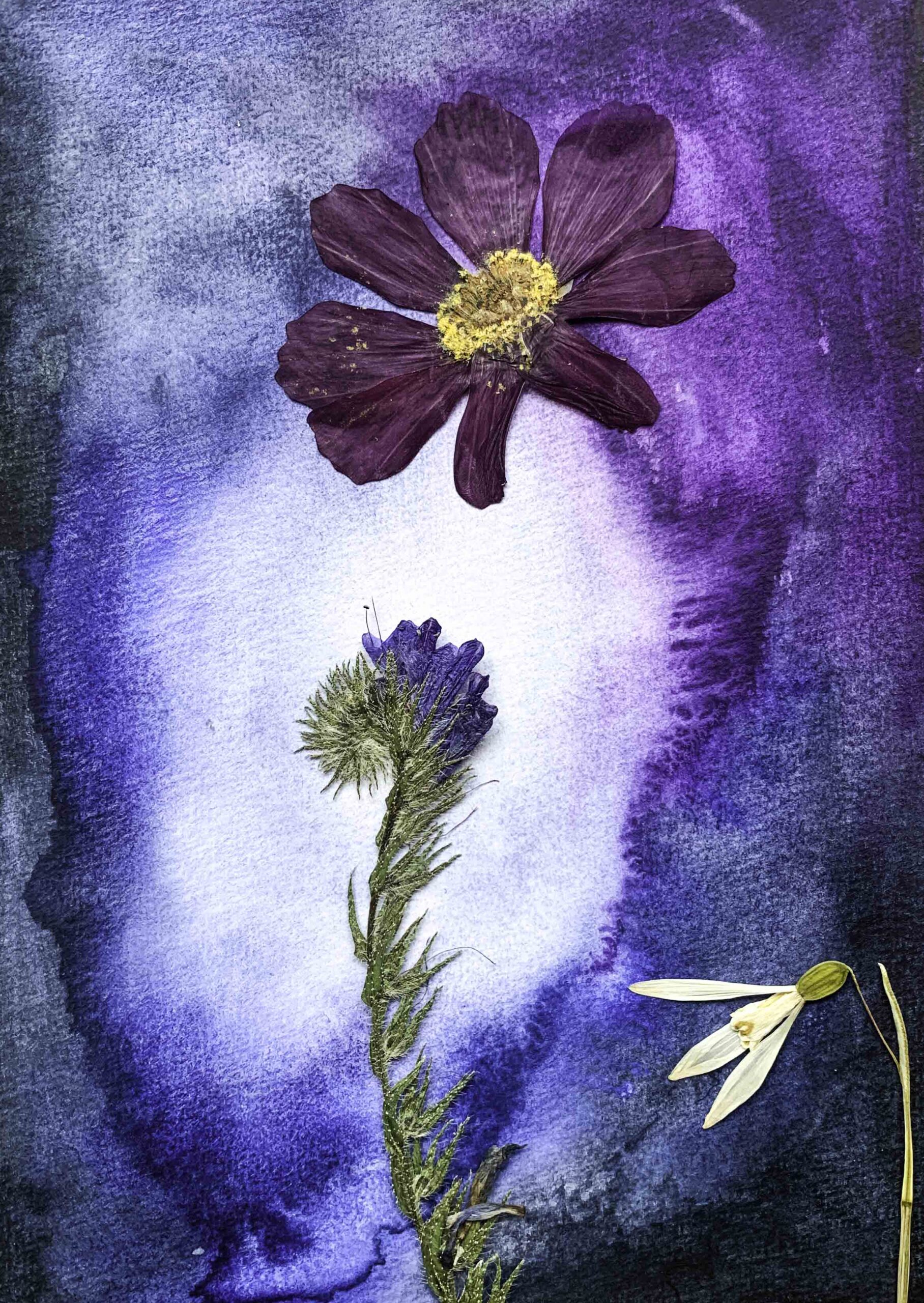 Bloemen winter, droogbloemen, marina elisa, handgemaakt, aquarel mix