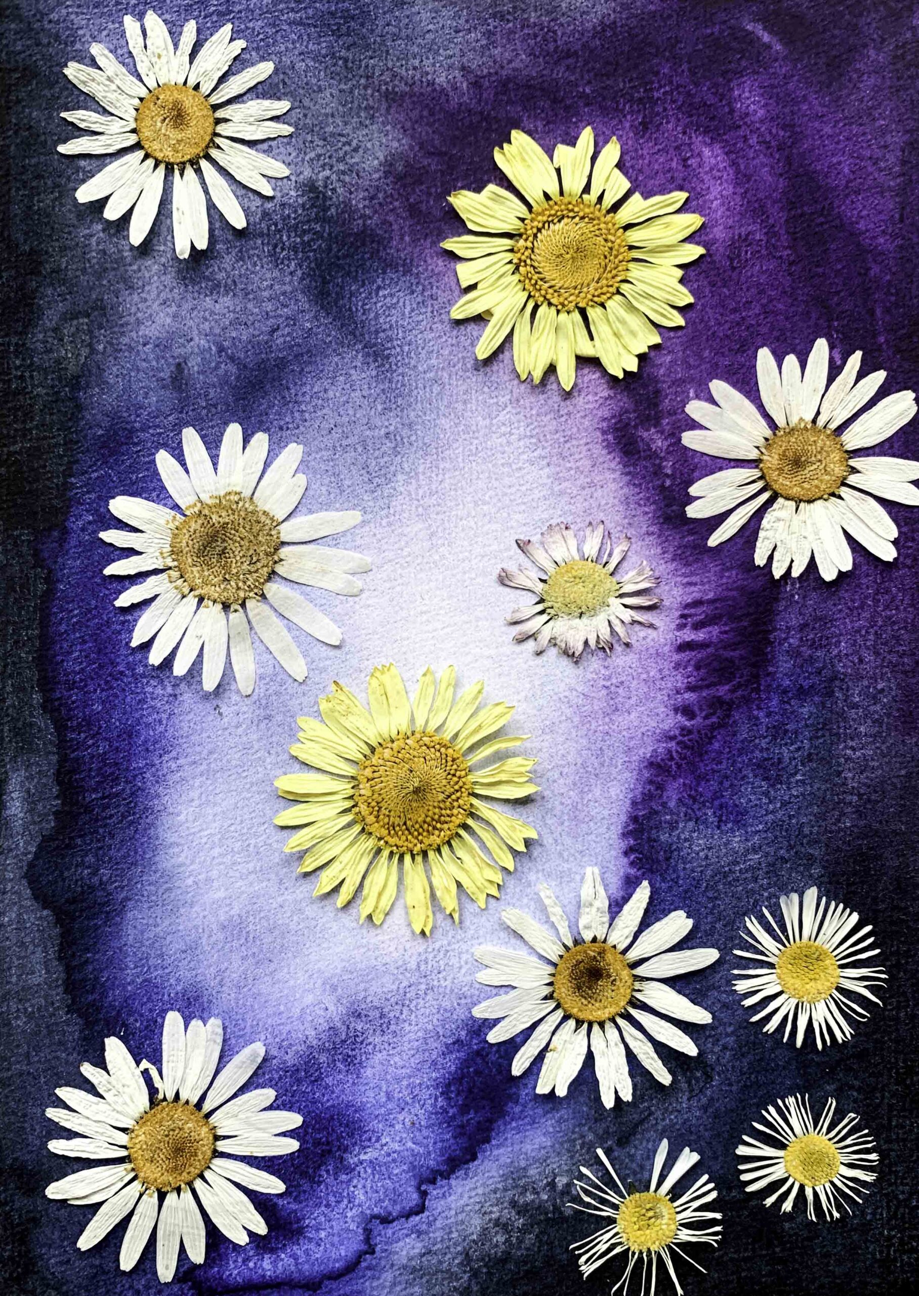 droogbloemen, handgemaakt, aquarel, zomerbloemen, marina elisa